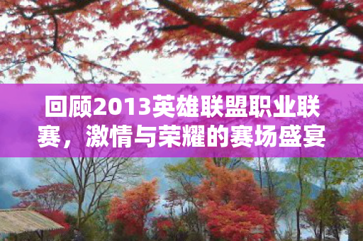 回顾2013英雄联盟职业联赛图片