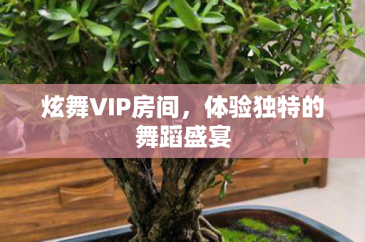 体验独特的舞蹈盛宴图片