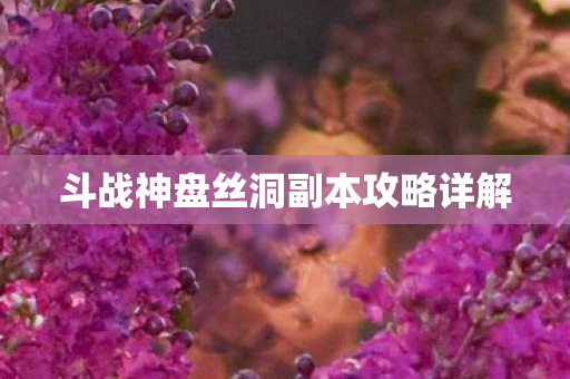 斗战神盘丝洞副本攻略详解图片