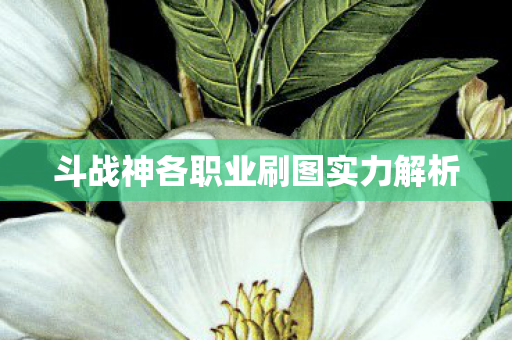 斗战神各职业刷图实力解析图片