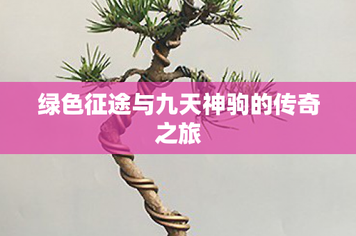 绿色征途与九天神驹的传奇之旅图片