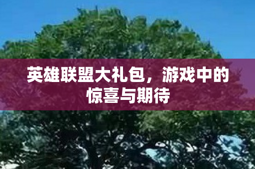 游戏中的惊喜与期待图片