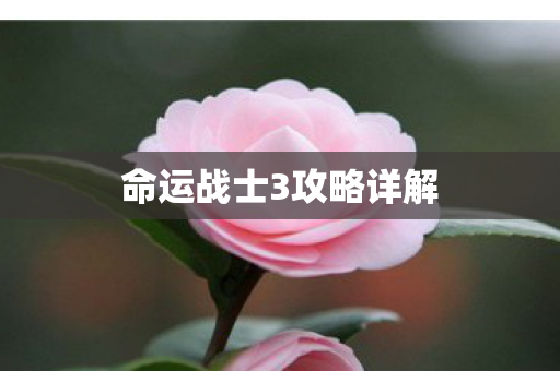命运战士3攻略详解图片