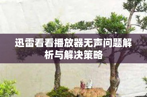 迅雷看看播放器无声问题解析与解决策略图片