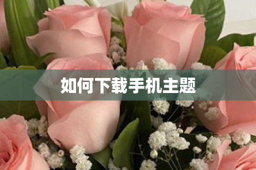 如何下载手机主题图片