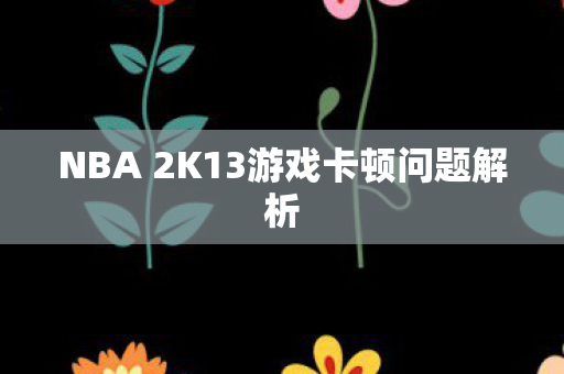 NBA 2K13游戏卡顿问题解析图片