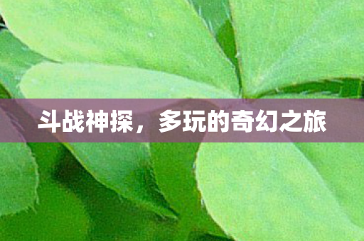 多玩的奇幻之旅图片