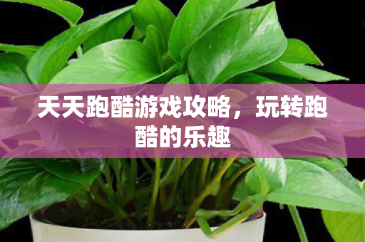 天天跑酷游戏攻略图片