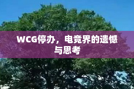 电竞界的遗憾与思考图片