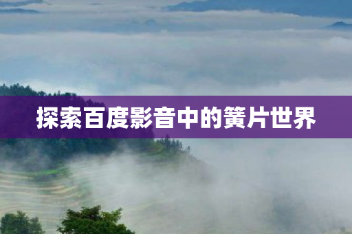 探索百度影音中的簧片世界图片