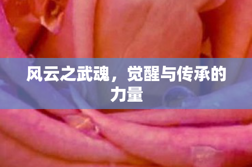 觉醒与传承的力量图片