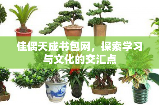 探索学习与文化的交汇点图片