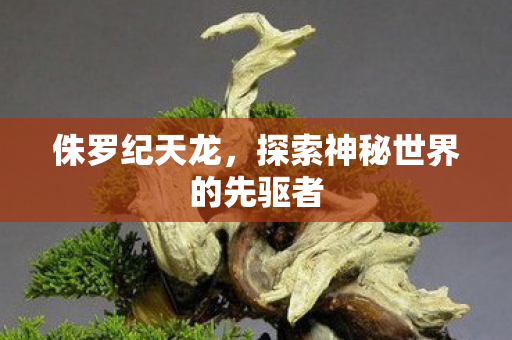 探索神秘世界的先驱者图片