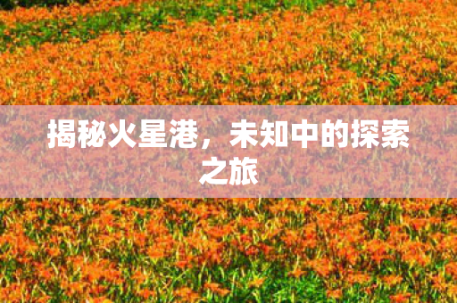 未知中的探索之旅图片