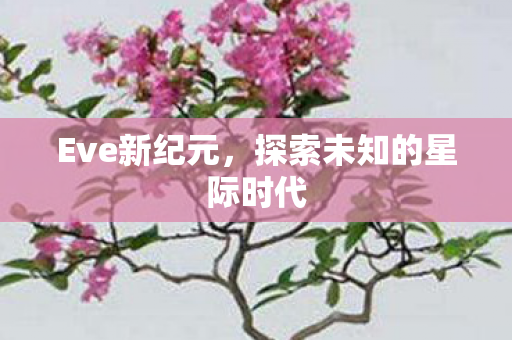 探索未知的星际时代图片