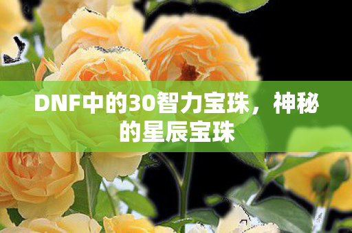DNF中的30智力宝珠图片