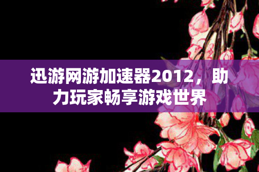 迅游网游加速器2012图片