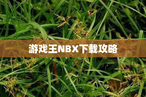 游戏王NBX下载攻略图片