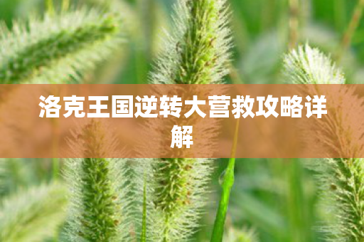 洛克王国逆转大营救攻略详解图片