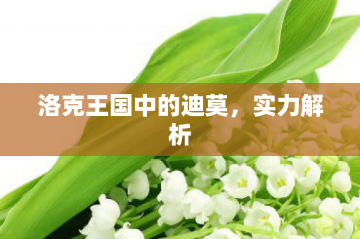 洛克王国中的迪莫图片