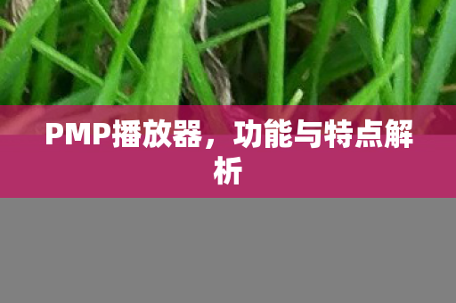 功能与特点解析图片