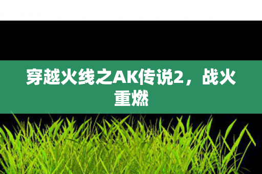 穿越火线之AK传说2图片