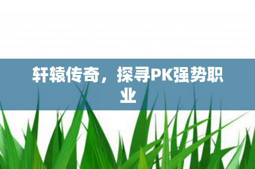 探寻PK强势职业图片