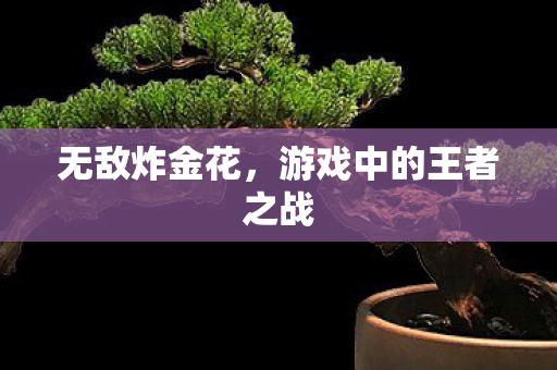 游戏中的王者之战图片