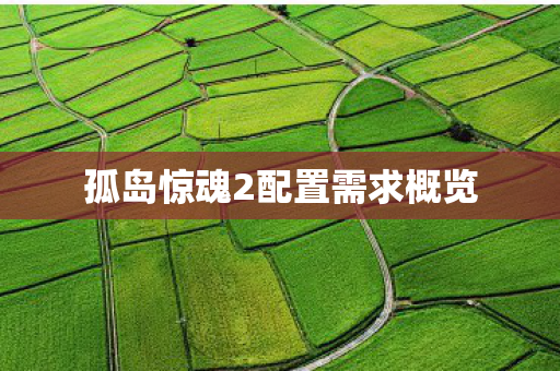 孤岛惊魂2配置需求概览图片