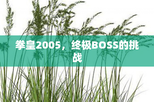 终极BOSS的挑战图片