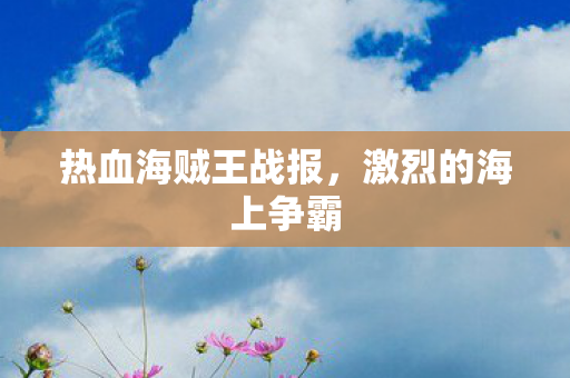 热血海贼王战报图片