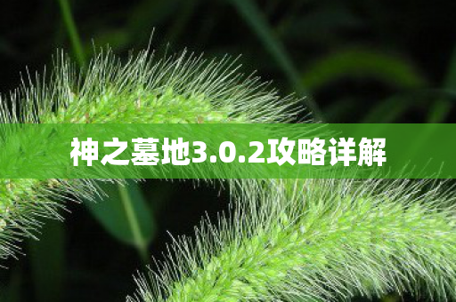 神之墓地3图片
