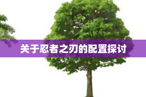 关于忍者之刃的配置探讨图片
