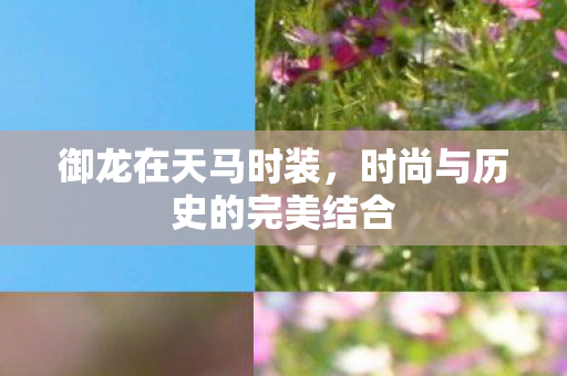 时尚与历史的完美结合图片