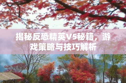 揭秘反恐精英V5秘籍图片