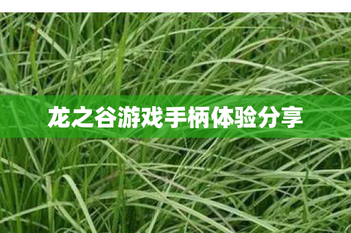 龙之谷游戏手柄体验分享图片