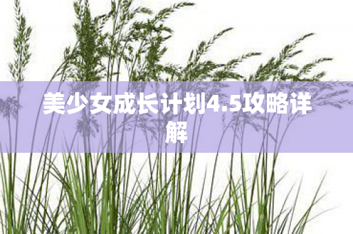美少女成长计划4图片