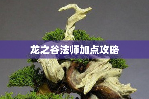 龙之谷法师加点攻略图片