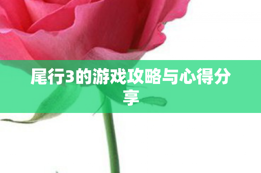 尾行3的游戏攻略与心得分享图片