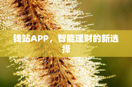 智能理财的新选择图片