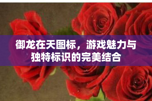 游戏魅力与独特标识的完美结合图片