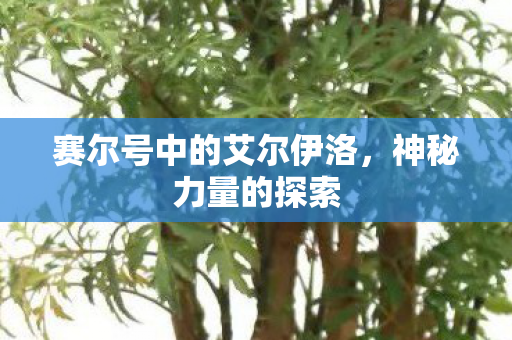 赛尔号中的艾尔伊洛图片