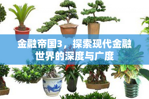 探索现代金融世界的深度与广度图片