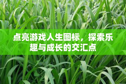 探索乐趣与成长的交汇点图片