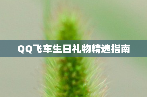 QQ飞车生日礼物精选指南图片