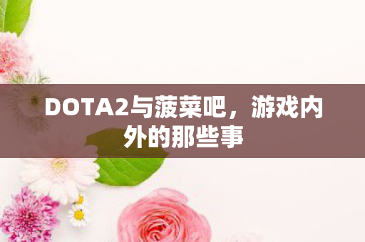 DOTA2与菠菜吧图片