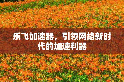引领网络新时代的加速利器图片
