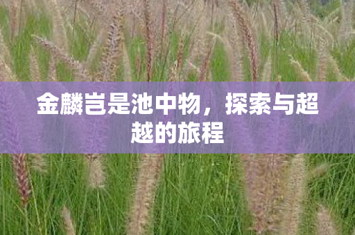 探索与超越的旅程图片
