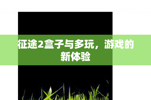征途2盒子与多玩图片