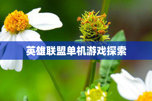 英雄联盟单机游戏探索图片